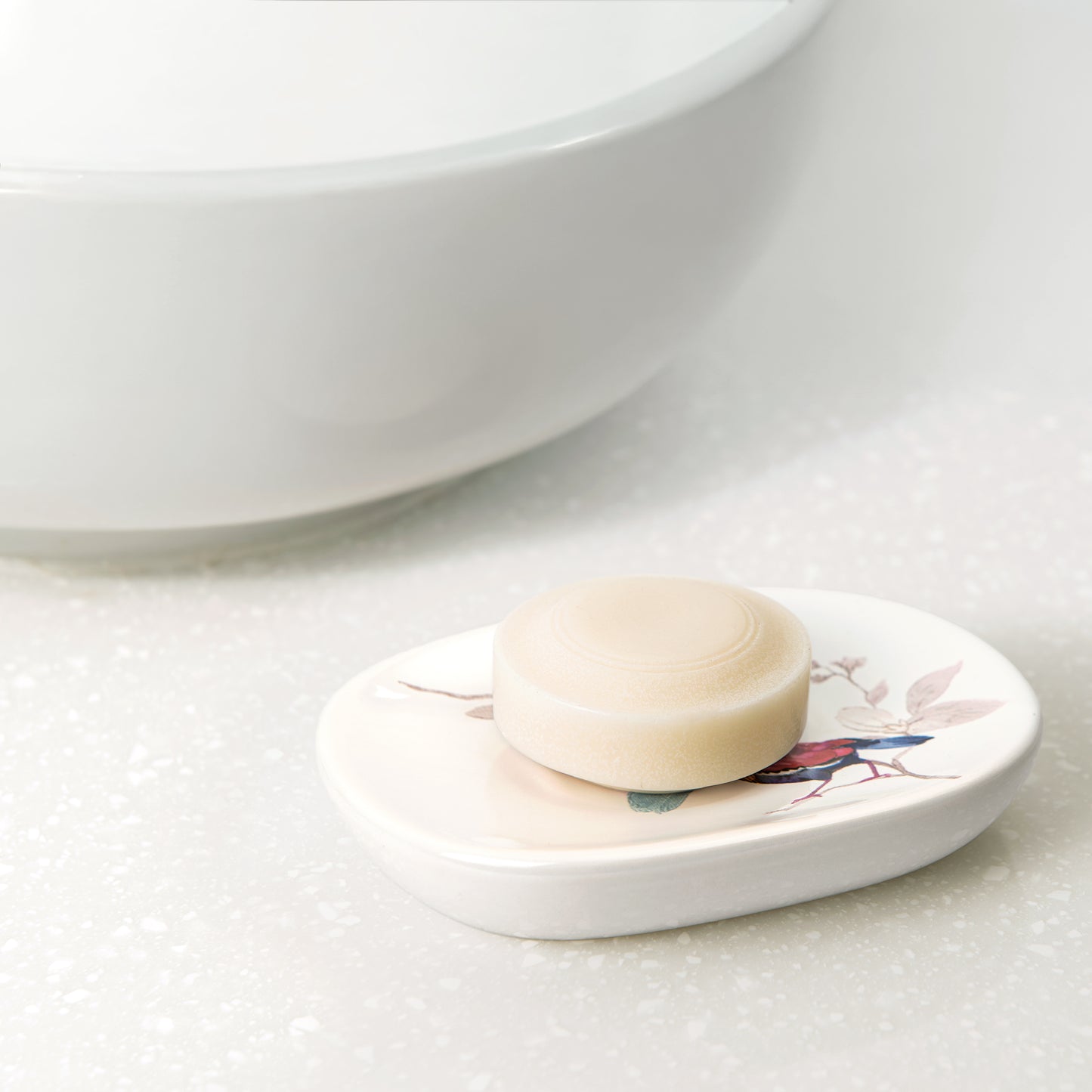 Birds and Botanicals Soap Dish